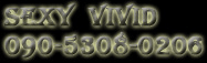 sexy vivid �����o�[